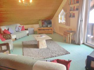 Wohl eingerichtete Wohnung mit eigenem Balkon - Sankt Michael im Lungau - 9