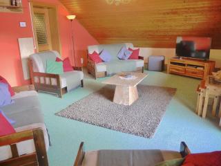 Wohl eingerichtete Wohnung mit eigenem Balkon - Sankt Michael im Lungau - 7