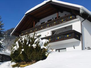 Wohl eingerichtete Wohnung mit eigenem Balkon - Sankt Michael im Lungau - 2
