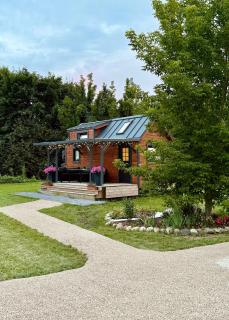 Tiny house & Sauna - Alejas - 0