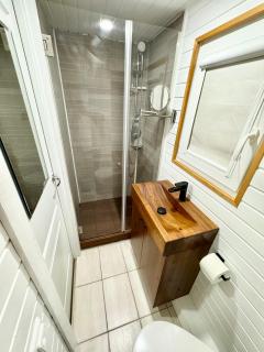 Tiny house & Sauna - Alejas - 7