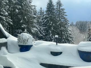 Luxus Ferienwohnung Traumblick Hahnenklee 4Sterne DTV - 9