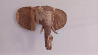 Gite familial-Zoo Beauval-Chateaux - 6