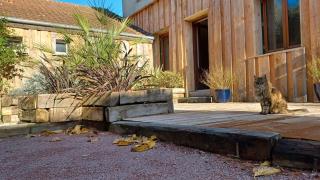 Gite familial-Zoo Beauval-Chateaux - 0