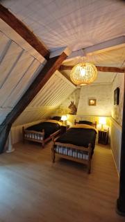 Le troglogite Ambraline - 1