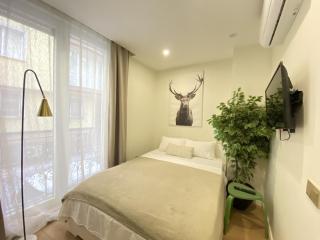 Stylish Studio with Golden Horn Charm - 9