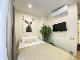 Stylish Studio with Golden Horn Charm - 5