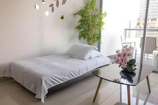 Lujoso Apto de 1 Hab en Piso 7 - Infinitum - 1