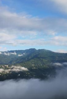 Blissful Stay, 1-min drive from MG Market - 5