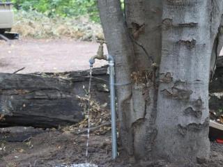 Khwai Game Lodge and Campsite - 9