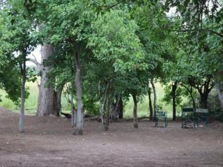 Khwai Game Lodge and Campsite - 8