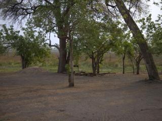 Khwai Game Lodge and Campsite - 7