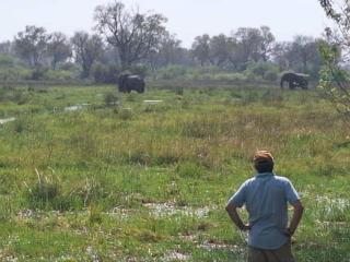 Khwai Game Lodge and Campsite - 6