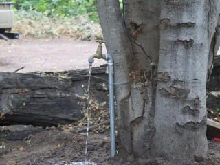 Khwai Game Lodge and Campsite - 5