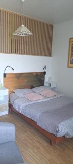 50 m des cures joli studio Audrey rénové parking wifi - 7