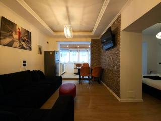 Cozy Condo in Bllok 5 min walk from Central Park - 5