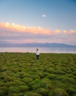 Zalkar Yurt Camp - 3