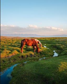 Zalkar Yurt Camp - 4