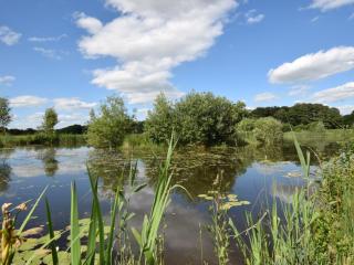 1 Bed in Thetford 57900 - 8