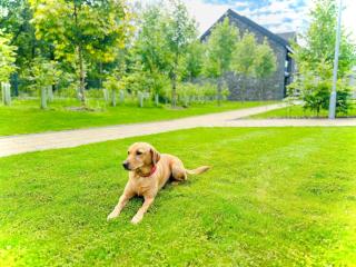 1 Bed in Newby Bridge 85910 - 4