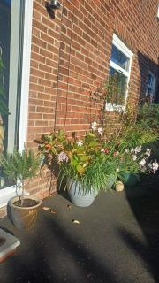 Garden Apartment Morpeth- with lockable bike storage! - 9