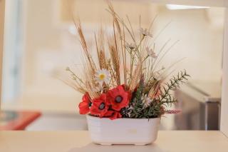 Apartamento Trajano Casco Antiguo - 1