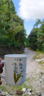 Pearl point homestay - 4