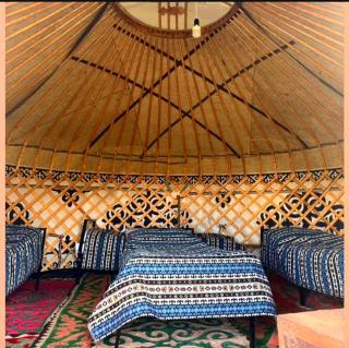 Zalkar Yurt Camp - 8