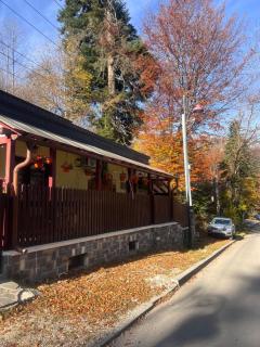 Casa de Vacanta Razvan si Andrei - 0