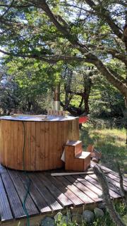 Preciosa casa V. Cerro Castillo cercana Parque - 2