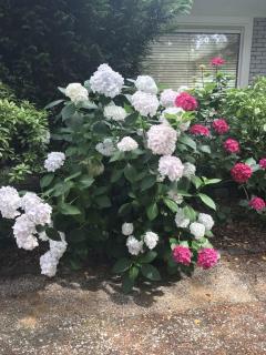 Vrijvakantiehuis Rooistrand - 3