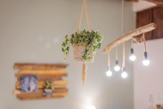 Chambre La Louve - 2