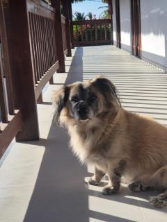 Pousada Janela dos Ventos - 3