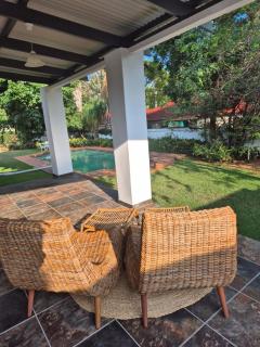 Hibiscus at Bougainvillea House - 3