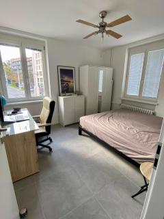 CASTE Apartment, 1-4 guests, Garage, Historical Downtown - 6