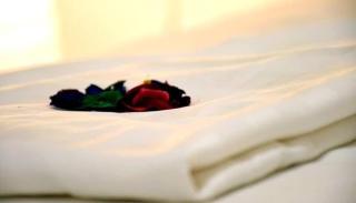 Seasons Villa Sigiriya, Sri Lanka - 5