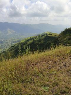 Rudras villa by Dattatray Holliday's - 8