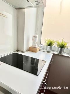 Giostra Studio Flat - 1