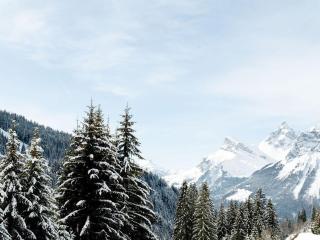 Studio ski-in/ski-out à Flaine - Animaux admis, balcon sud - FR-1-687-58 - 2