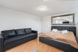 Black Dragon Haven Villa with Pool Sauna Jacuzzi BBQ & Parking for 8 Cars - 6