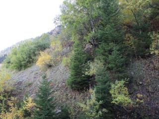 Studio rénové 4 pers, Résidence Andromède, Flaine Forêt, à 300m des pistes et 140m des commerces - FR-1-687-26 - 8