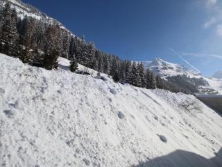 Appartement 2 pièces pour 5 pers. à Flaine Forêt, à 350m des pistes et proche des commerces - FR-1-687-34 - 1