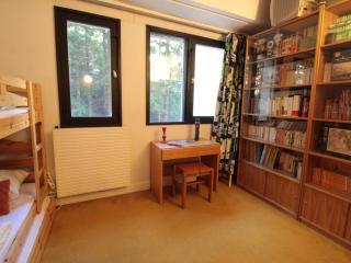 Flaine, 3 pièces, 8 pers, près des pistes, vue domaine skiable - FR-1-687-83 - 5