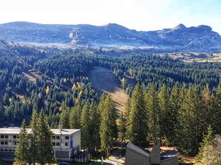 Appartement 3 pièces, 8 pers, Résidence Cassiopée, Flaine Forum, à 50m des pistes et commerces - FR-1-687-87 - 3