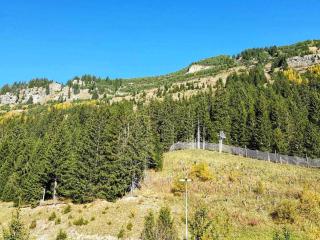 Studio 5 pers à Flaine, proche pistes et commerces, animaux admis - FR-1-687-91 - 2