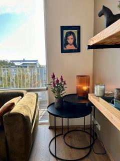 Reykjavik Penthouse Suite - 9