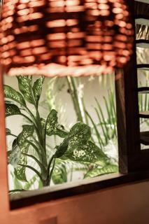 Casa Chula Hotel Boutique Frente al Mar - 0