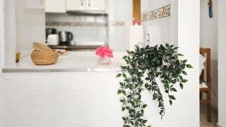 Comfortable Apartment in the Heart of Torrevieja - 4