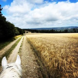Large family home based at Westerlands Farm - 5