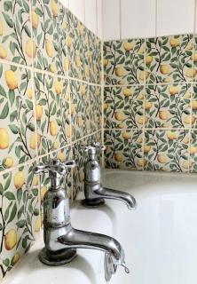 Large family home based at Westerlands Farm - 3